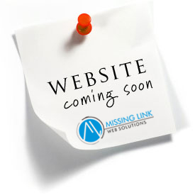 Missing Link Logo